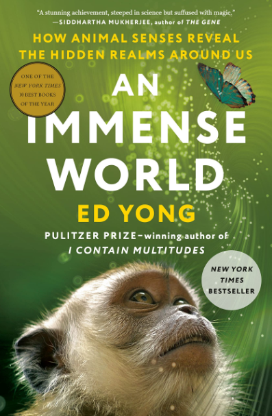 Cover of An Immense World, a small primate looking up in awe at a butterfly on a green background